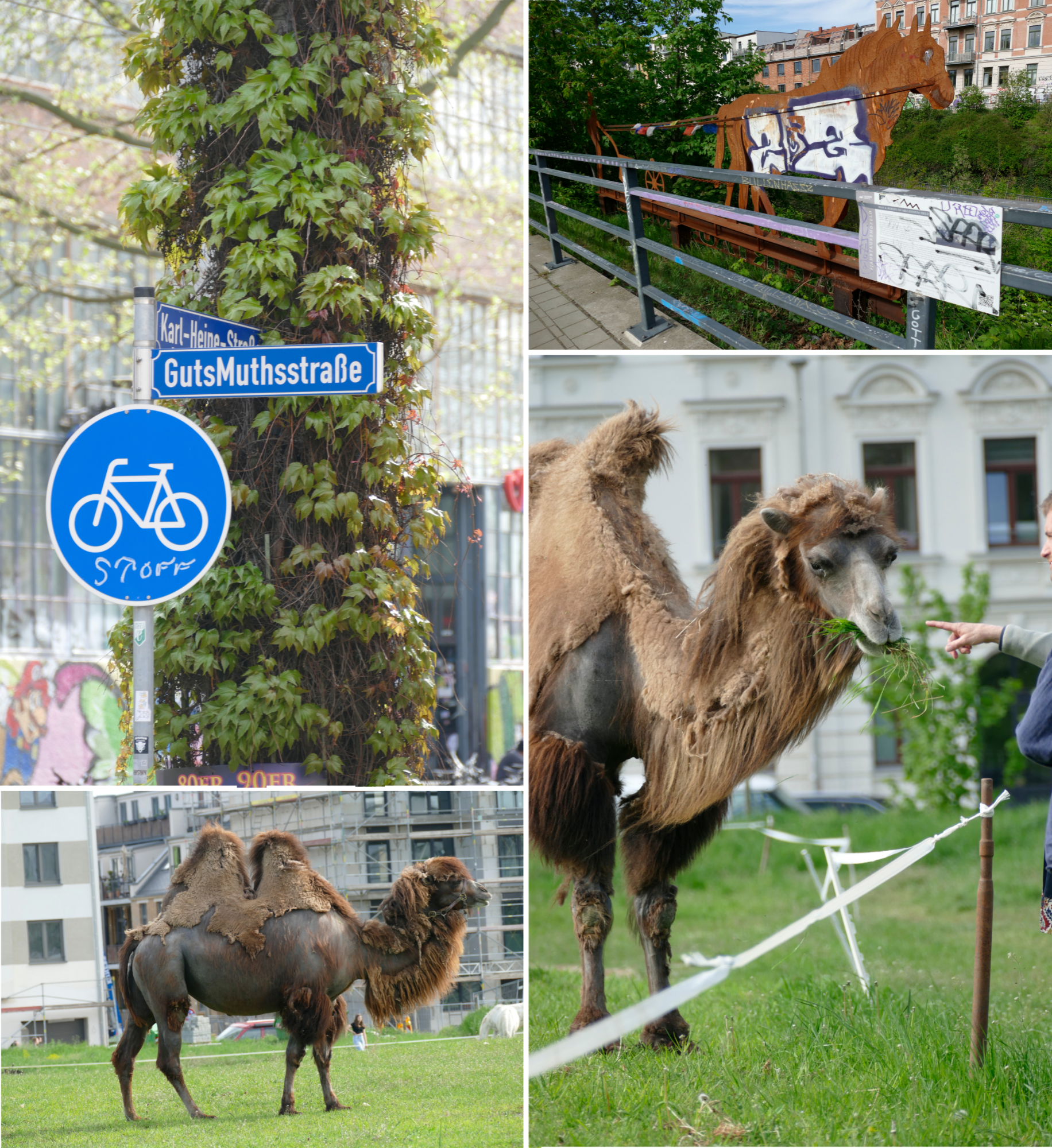 Auf dem Jahrtausendfeld