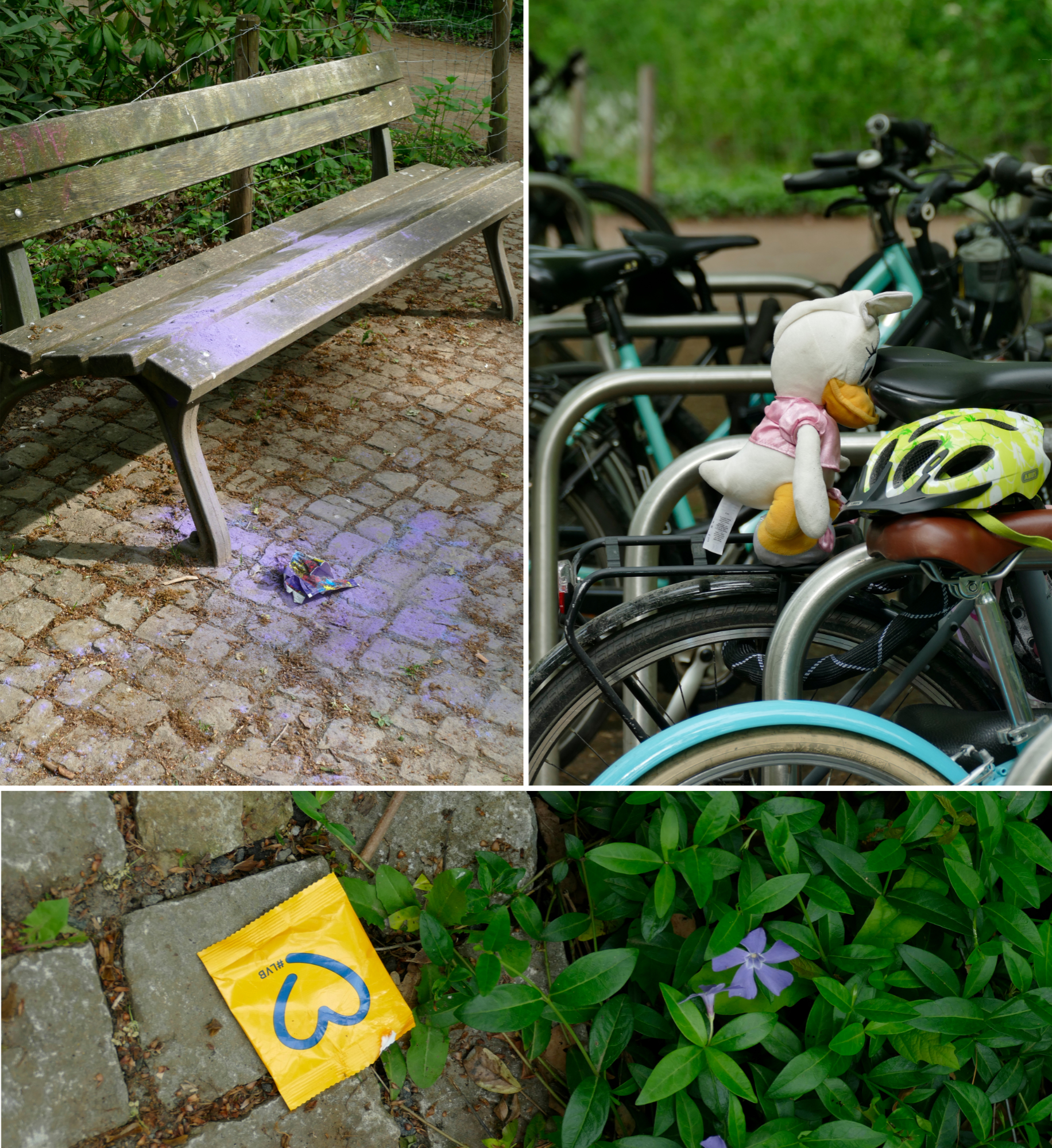 Im Clara Zetkin Park